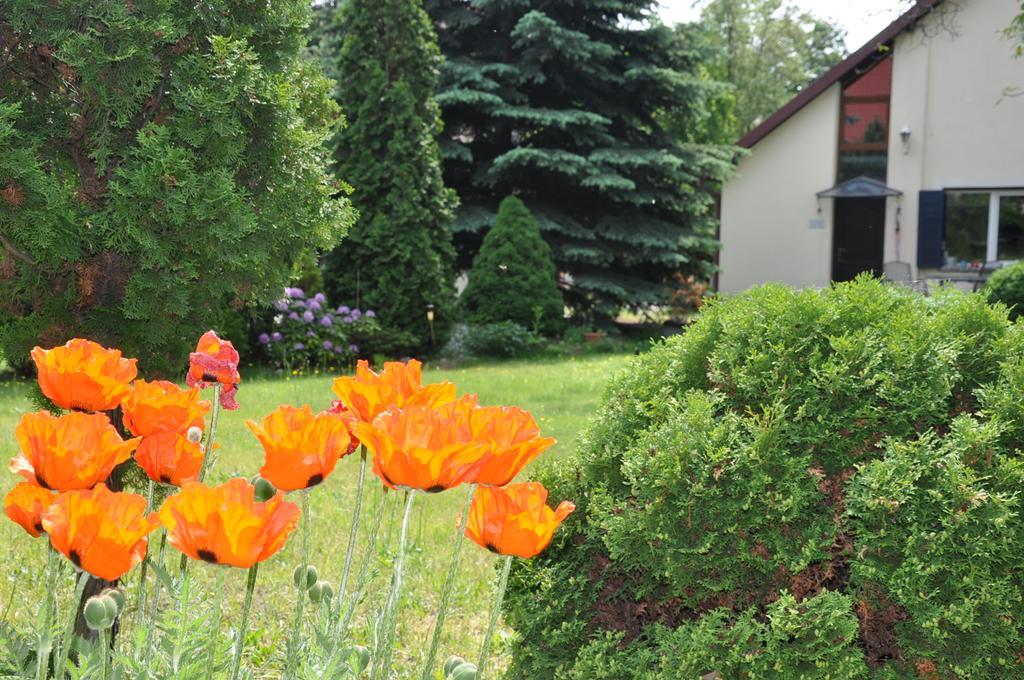 Apartament Be Well 3-rooms With Parking And Garden